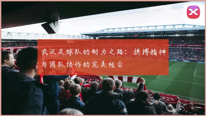 武汉足球队的耐力之路：拼搏精神与团队协作的完美结合