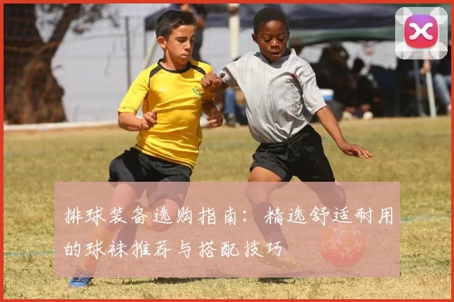 排球装备选购指南：精选舒适耐用的球袜推荐与搭配技巧