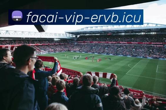 乐竞体育注册服务体系